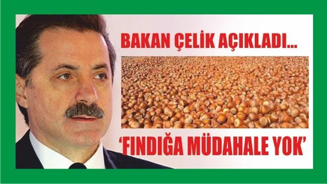 FINDIĞA MÜDAHALE YOK... 