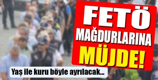 At izi, it izine karıştı mı?