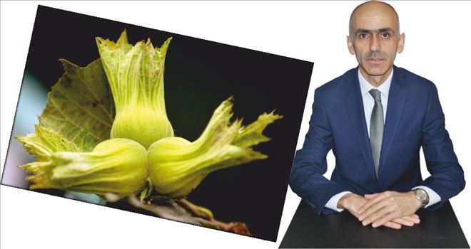 ?TEHDİTLERE KARNIM TOK´