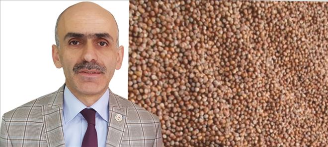 ?TMO piyasayı bozmasın´