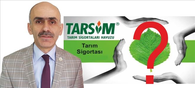 Sigortanızı yaptırdınız mı?