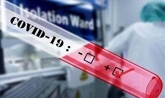 Koronavirüs 216 can aldı