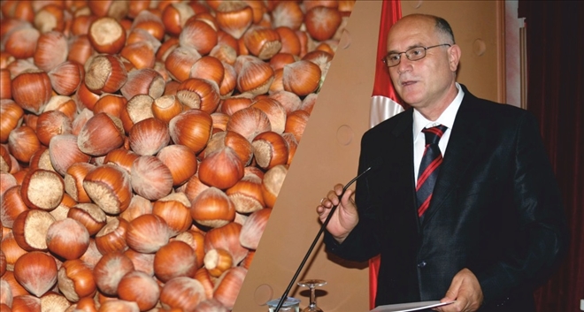 Fındık ihracatı neden düştü?