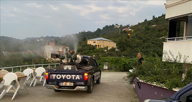 İlaçlama çalışmaları sürüyor