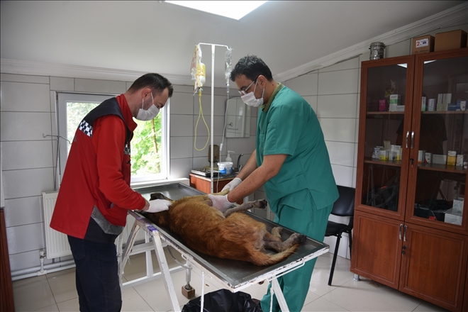 ŞENLİKOĞLU DESTEK VERİYOR