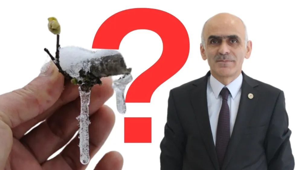 YÜKSEKLERİ DON VURDU!  